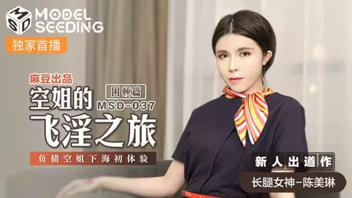 MSD037 The stewardess's difficult journey on the plane - New actress - Chen Meilin