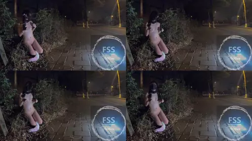 Twitter celebrity FSS Feng Shanshan outdoor exposure welfare 20. The bitch was picked up by a passerby