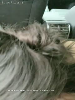 ,07,20‖Car sex‖Pink short sleeves‖Twist her ass, finger her pussy, lick her pussy, give her a blowjob, fuck her hard while riding on top