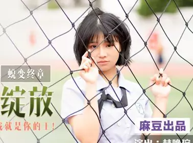 Ding ding reflects the DD-005 feeling like fireworks blooming-Lin wan