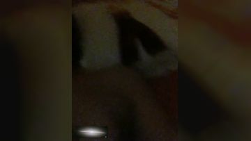 fucked my girlfriend with beautiful breasts today and she was so happy. I changed several positions to take selfies with her beautiful breasts. She was so happy. She had a perfect face and showed her face in HD 720P