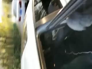 Beautiful girl in car sex blowjob