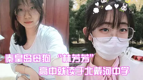 Qinhuangdao bitch 