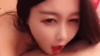 The host is the little wild cat.