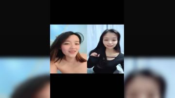 #Little white white white little fox anchor show 02