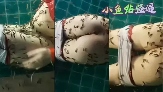 Small fish drill SAO force