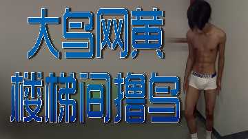 Big Bird Net Yellow Stairwell Roll Bird