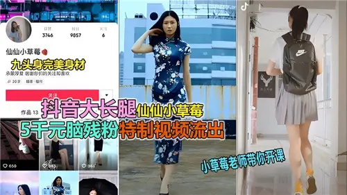 Internet transmission of tremolo big long legs fairy fairy small strawberry special video flow out