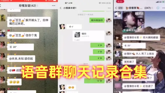 Voice group chat record collection